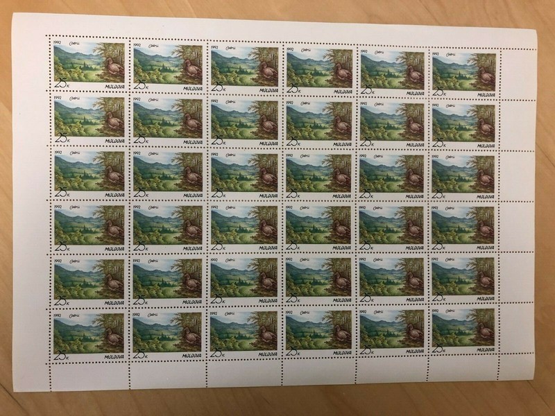SPECIAL LOT Moldova - Scott #25 Nature Reserve Codrii - 5 Full Sheets of 36 MNH