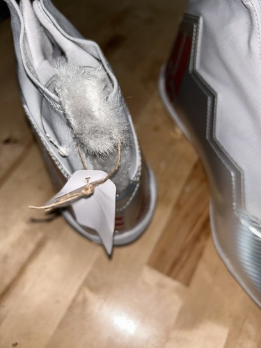 ADIDAS MENS NORTH CAROLINA STATE WOLFPACK TEAM ISSUED CLEATS SIZE 16 RARE NEW - Picture 5 of 6