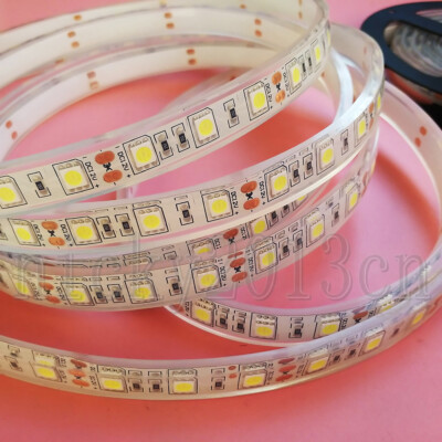 5M 5050 SMD LED Strip Light Submersible IP68 Waterproof Underwater 300LEDs 12V