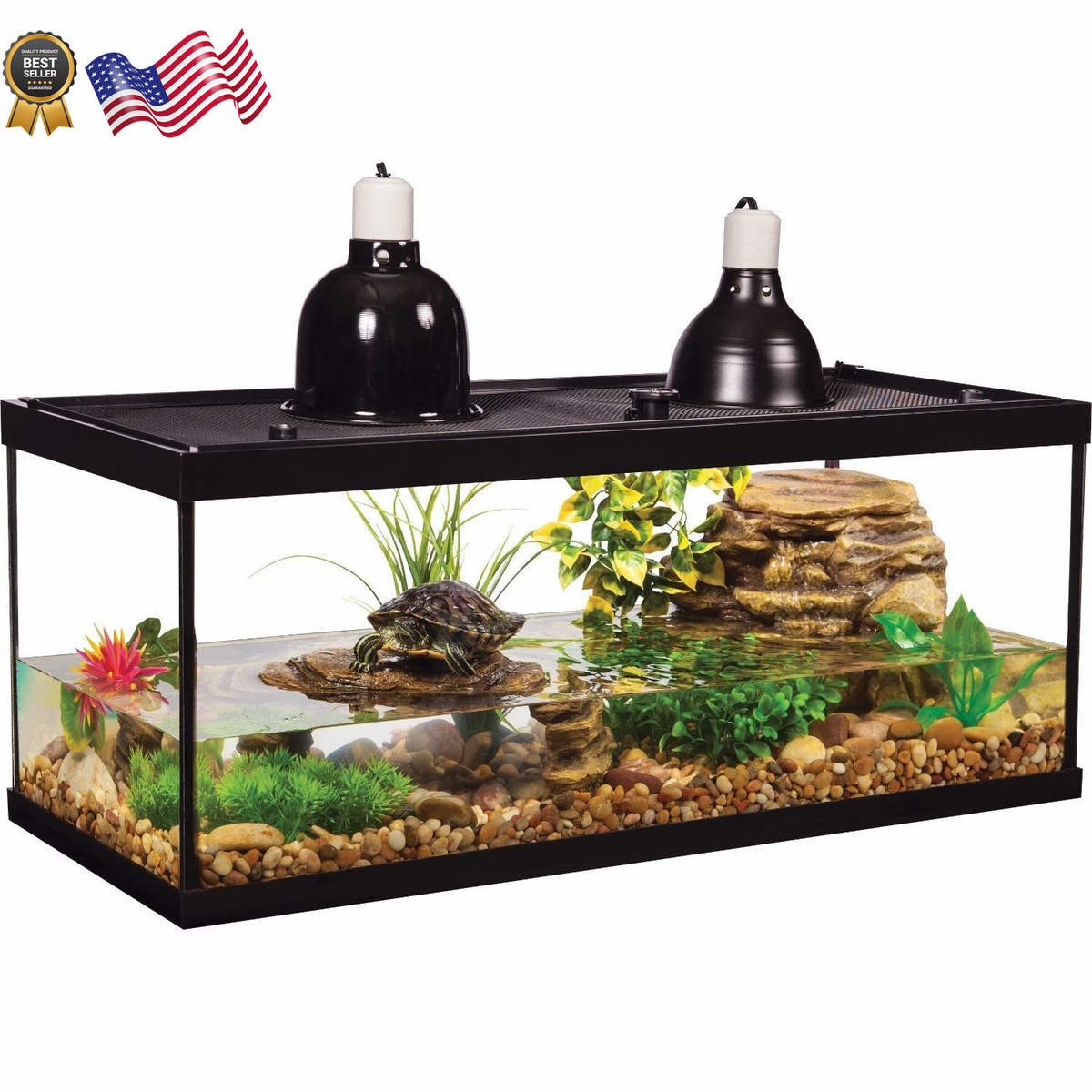 20-Gallon Aquarium Starter Kit: Ultimate Guide for Beginners