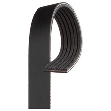 Keilrippenriemen für Land Rover Range L405 L538 L551 L494 L560 | 24289831