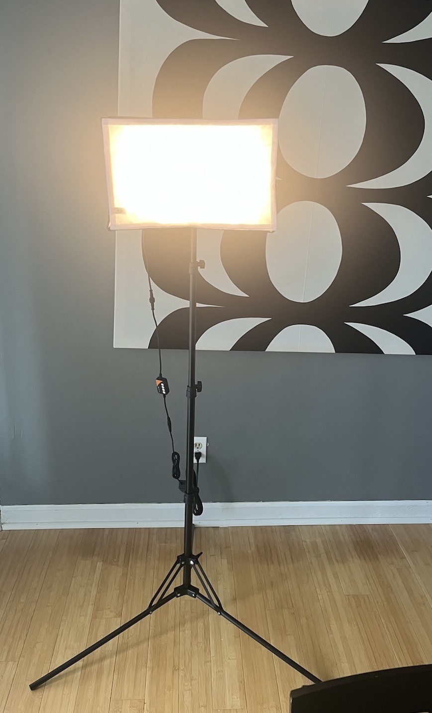 Fositan Remote Control Studio Photography Light Softbox Kit Continuous Lighting