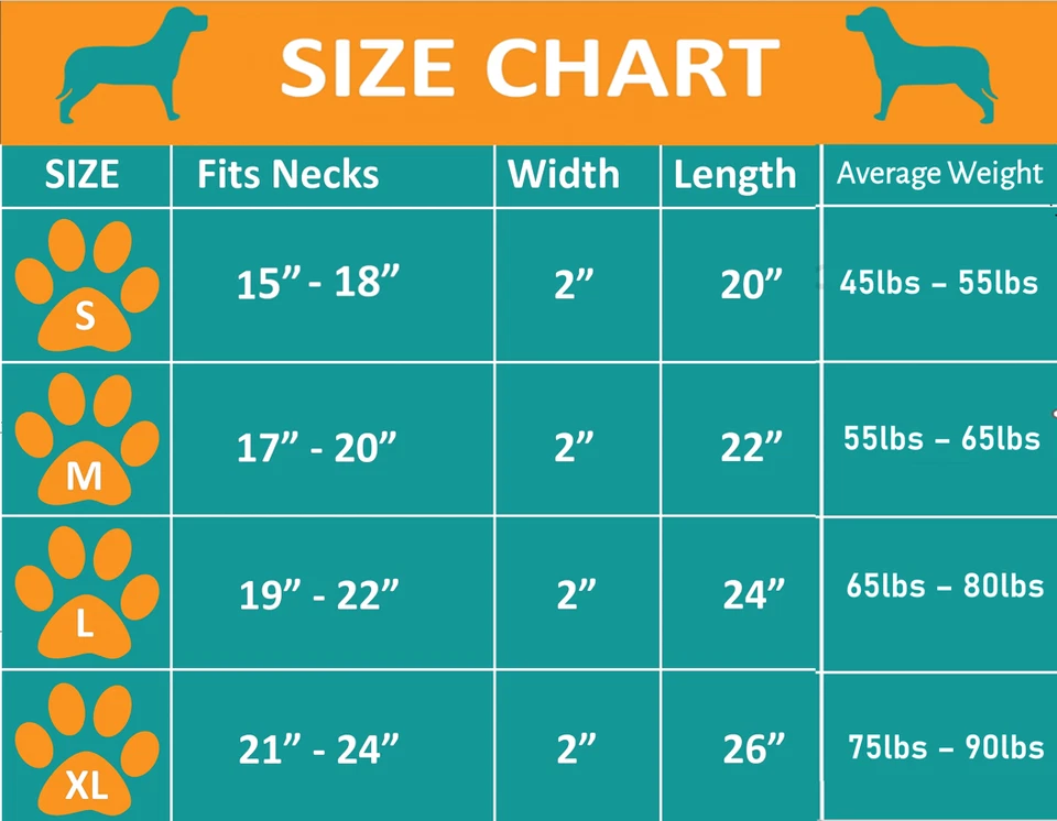 Large Spike SKULL Stud Metal Dog PU Leather Collar Pit Bull Mastiff Rivet-ANIMAL - Image 2 of 3