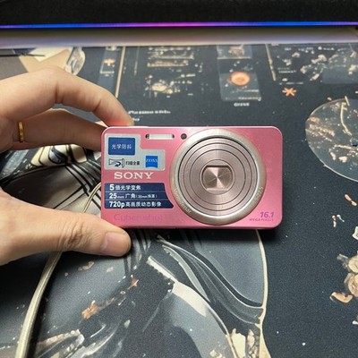 Sony Cyber-shot DSC-W570 Digital Camera 16.1 MP 6x Digital Zoom Pink