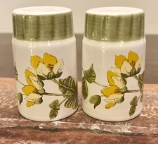 Palissy Royal Worcester Spode Salt & Pepper NEW In Box “Creeping Jenny”