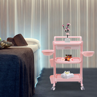 Rolling Salon Trolley Esthetician Cart Beauty Spa Facial Abs Storage Station US