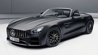 Factory Mercedes-Benz AMG GT C Wheel Perfect Genuine OEM Rear