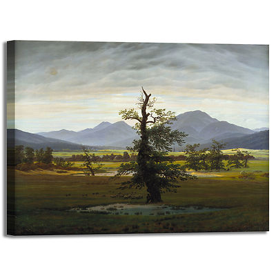Caspar Solitaire Tree Design Frame Print Canvas Painted Frame Home Furniture