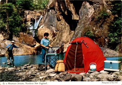 Mountain Stream, Northern New England, Washington, Maine, Smalls Postcard