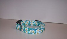 Wet Nose Designs Daisy Daisy Floral Dog Collar Flowers Spring Springtime Teal