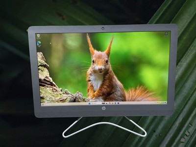 HP All In One 24-e0xx PC AMD A9-9400 RADEON R5 8GB Ram 2TB WIN11 HOME