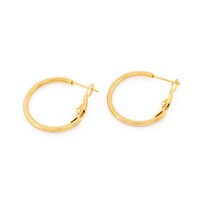 Creolen 304 Edelstahl 18K Ip-Goldbeschichtung 25Mm Set 2 StüCk Ohrringe