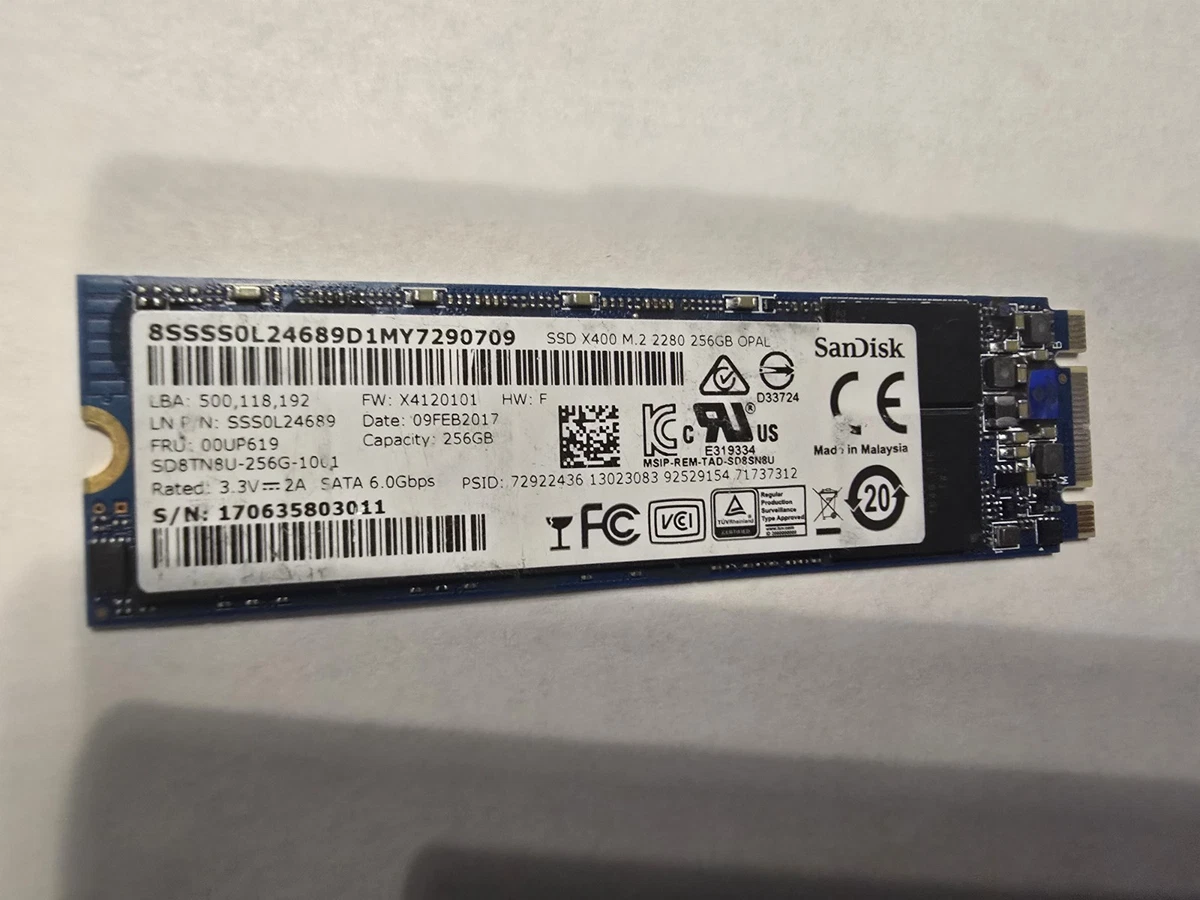 SanDisk 256 GB Solid State Drives for sale | eBay