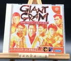 Giant Gram: All-Japan Wrestling 2 w/spine (Sega Dreamcast,1999) from japan