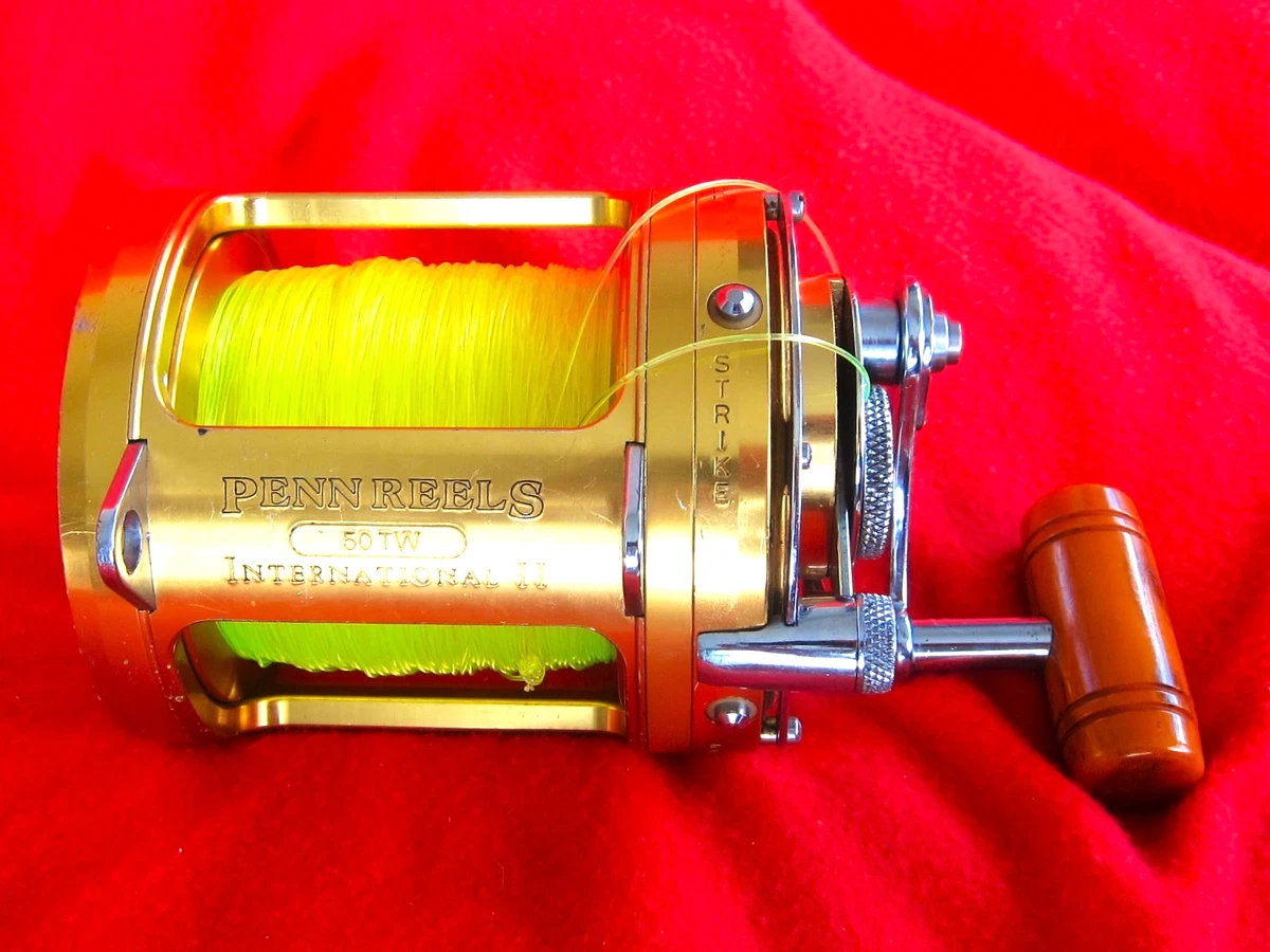 Penn International 50 | eBay