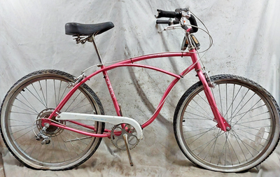 dutch electric bicycle e-JOE| JADE Step Through 48V 15Ah 750W Commuter Electric Bike main image 0