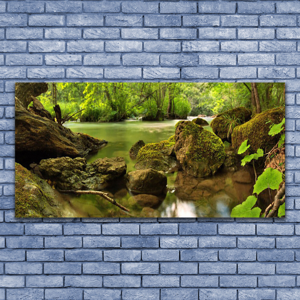 Tableau plexiglas nature 140x70 cm de qualité galerie d'art moderne