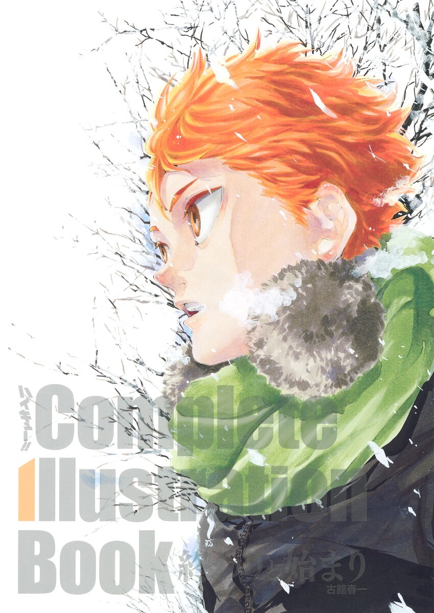 Haikyu!! Complete Illustration Haruichi Hurudate Art Book Owari to