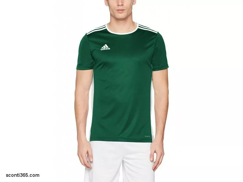Adidas T shirt Entrada 18 Match Jersey Uomo Ragazzo Art. CD8358 Verde Bianco eBay