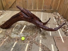 Large, natural sinking driftwood for aquarium/terrarium/arts and crafts