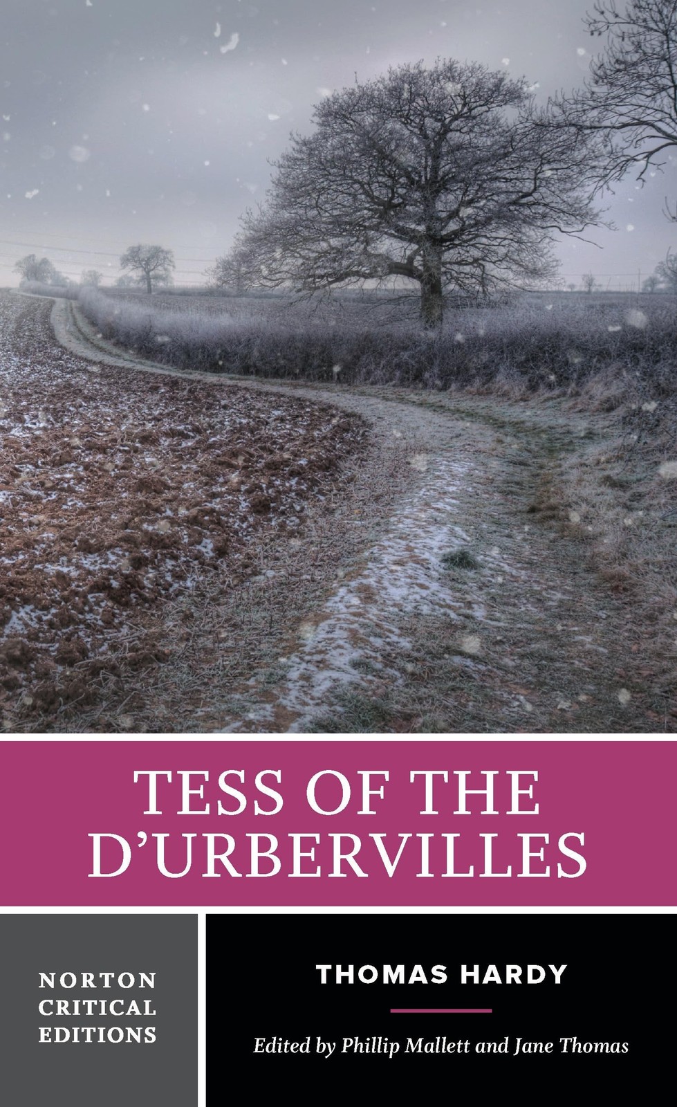 Tess of the dUrbervilles: A Norton Critical Ed. Hardy, Mallett, Thomas** - Image 5