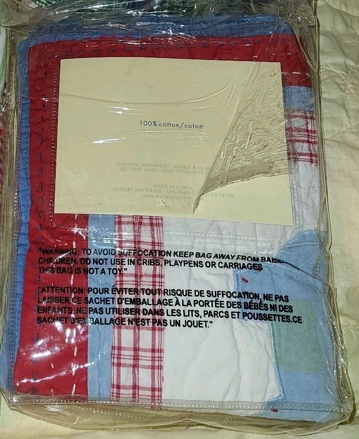 NUEVO Pottery Barn Kids Super Saurus PEQUEÑA FARSA 12x16" DINOSAURIO Decorativo niños Foto 4 de 4