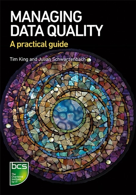 Managing Data Quality A Practical Guide