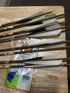 Easton Axis Traditional Arrow Size 500 (read Description)