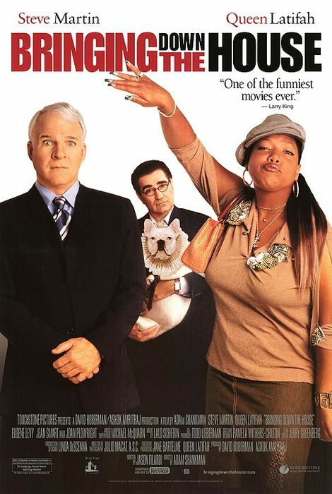 Bringing Down The House (Single Sided) Dvd) (2003) Original Movie Poster