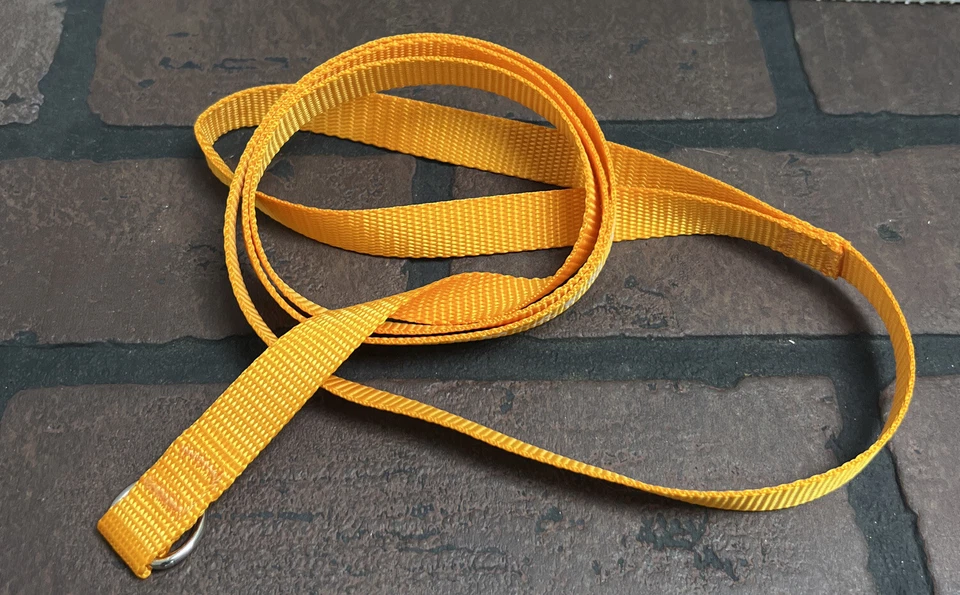 Correas Perro Slip Show Plomo Agilidad Entrenamiento Miletas Fuerte Delgado Ligero Cachorro Foto 3 de 4