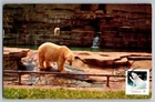 Canada 2017 Christmas Polar Bear FDC Maxi Card