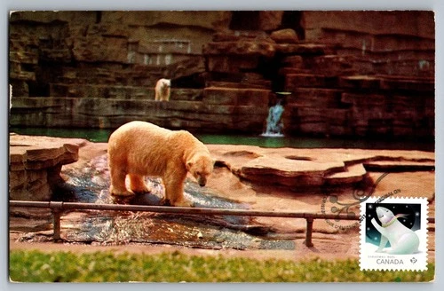 Canada 2017 Christmas Polar Bear FDC Maxi Card