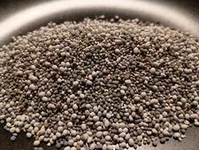 Food Plot Seed No-Till Clover Mix Attracts Deer Turkey 2 LBS of Seed No Fillers