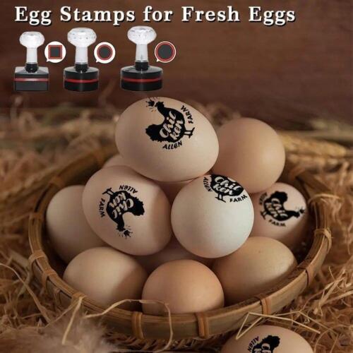 Timbro uovo personalizzato per foche allevamento mini francobollo uova etichetta logo trasparente personalizzato - Foto 1 di 6