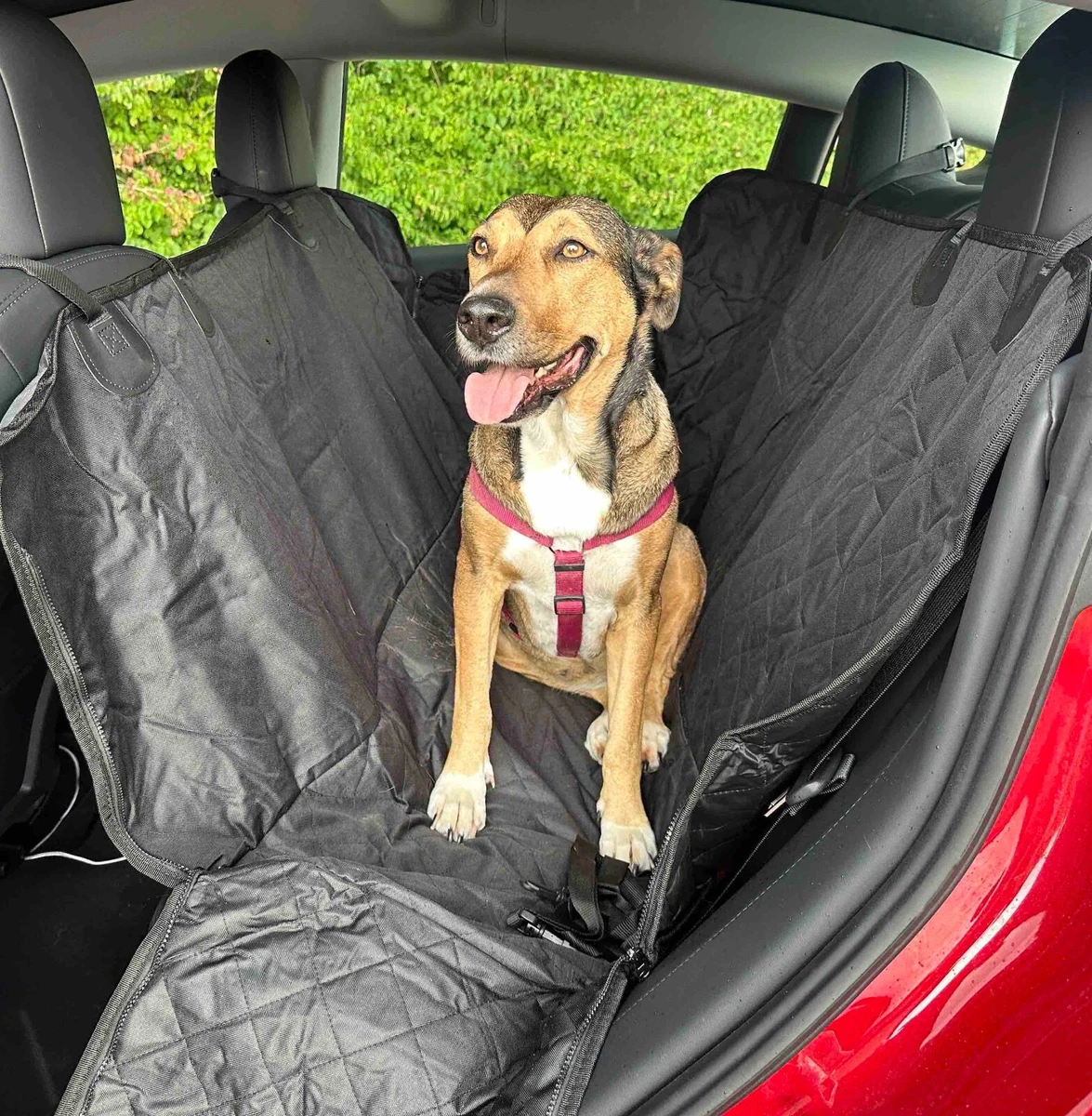 Tesla model s best sale dog seat cover