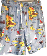 US Polo Assn Men's Medium Hawaiian Island Themed Swim Trunks Light Blue Lined