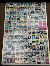 1979 Topps Baseball Card Full Sheet Uncut 144 Cards 12 Rows Roll Vintage