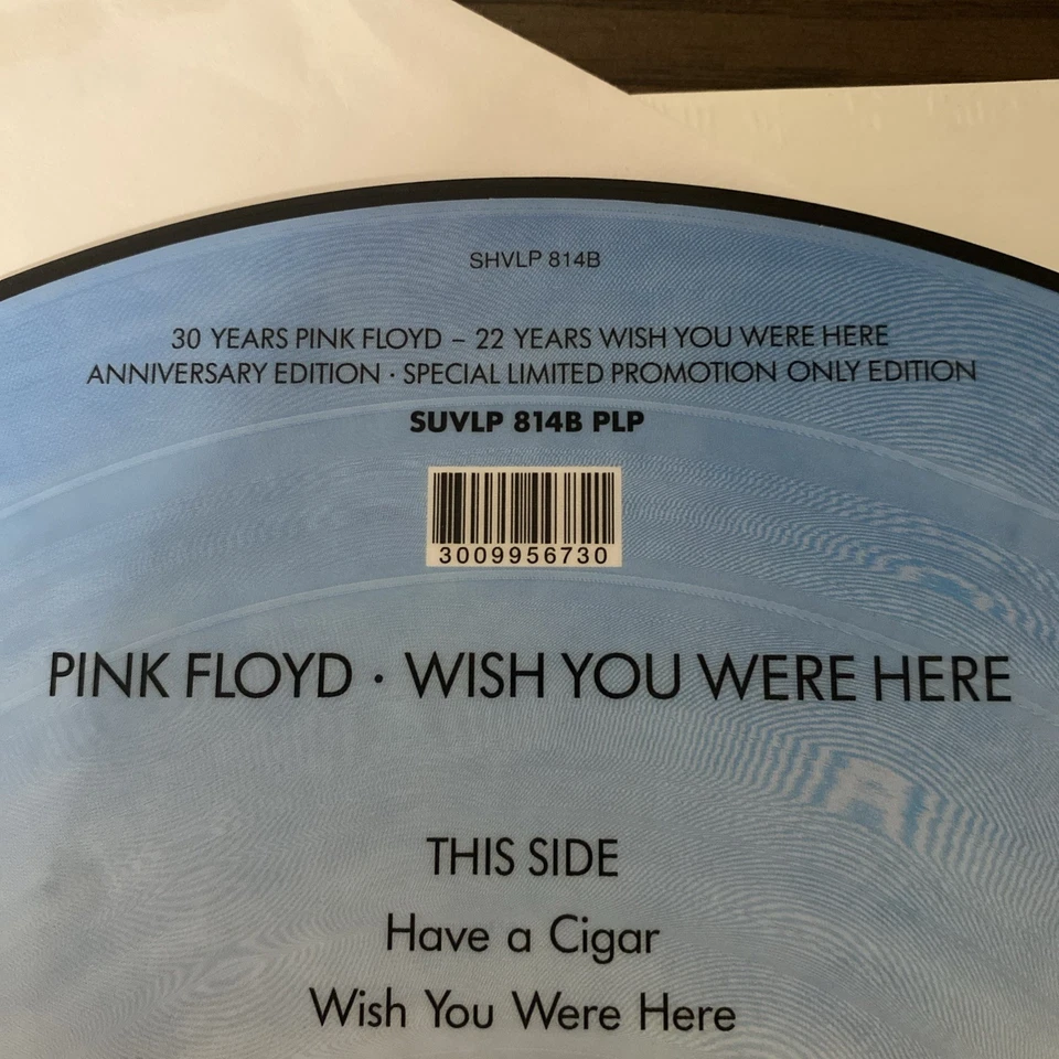 Pink Floyd Wish You Were Here Picture Disc Vinyl - Image 3 of 4
