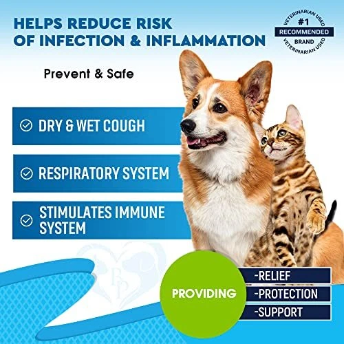 Kennel cough hotsell in cats treatment