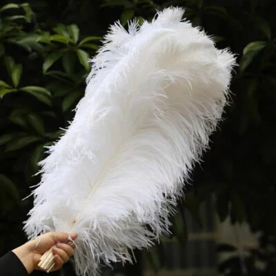 1/2x Large Bulk Ostrich Feathers Making Crafts Costume Wedding Party Table Decor