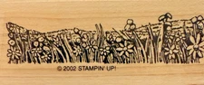 Stampin Up Stamp FIELD PRAIRIE Single Stamps ONLY 3x 1.25 inches WILD FLOWERS