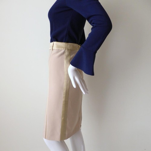 PHILOSOPHY DI ALBERTA FERRETTI Skirt NWT $729 Silk Trim Size 6 - 8 US 2 - 4 - Picture 5 of 10