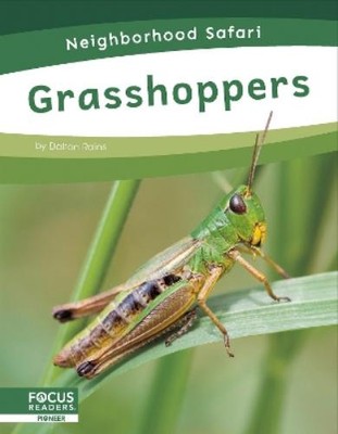 Dalton Rains Grasshoppers (Hardback) Neighborhood Safari Set 2 (UK IMPORT)