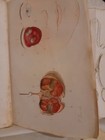 Bild 17 von 17