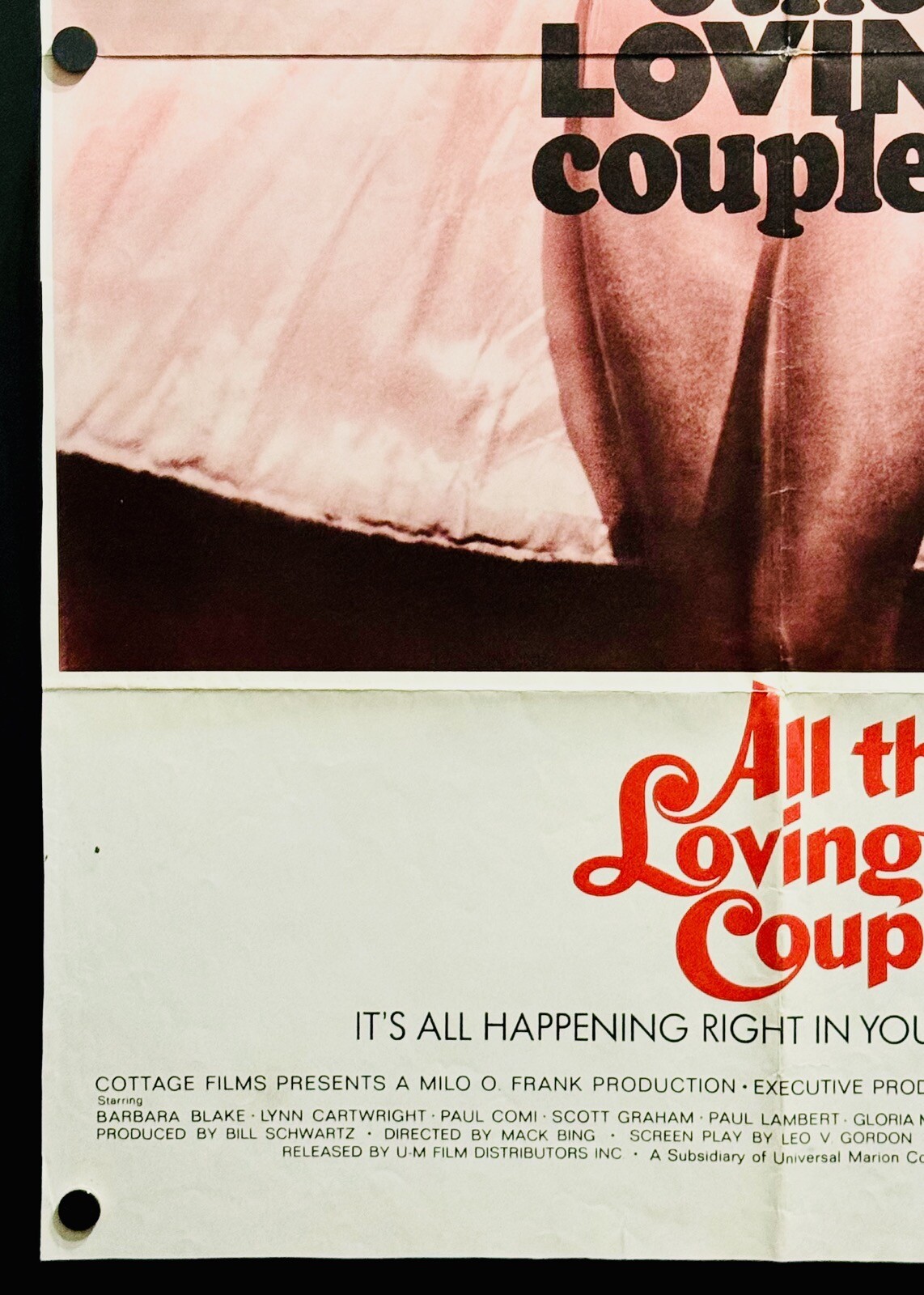All the Loving Couples (1969) Original One Sheet Movie Poster – Fine ...