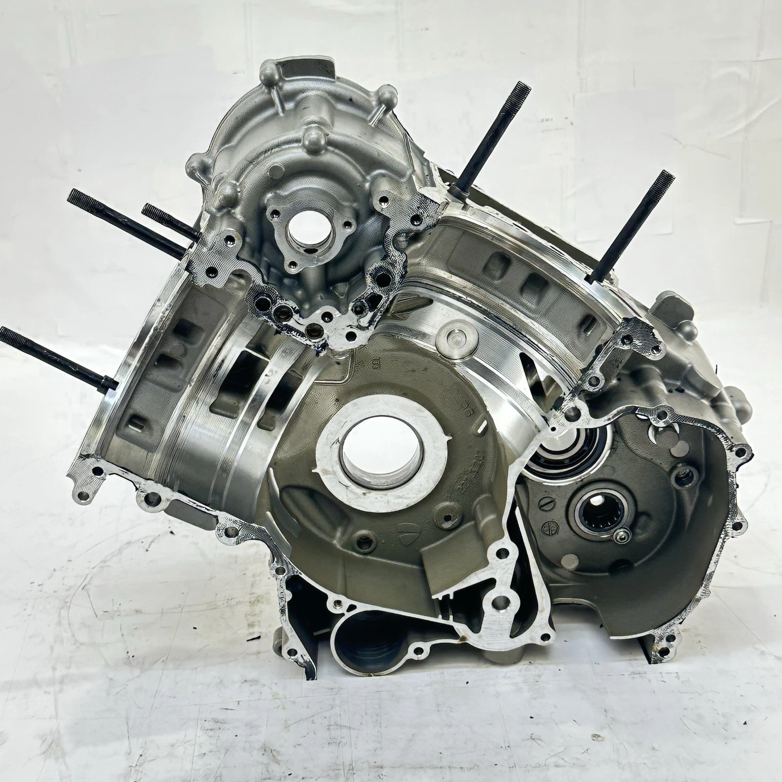 2016 - 2019 DUCATI PANIGALE 959 CRANKCASE ENGINE MOTOR BLOCK CASE BOLTS HARDWARE