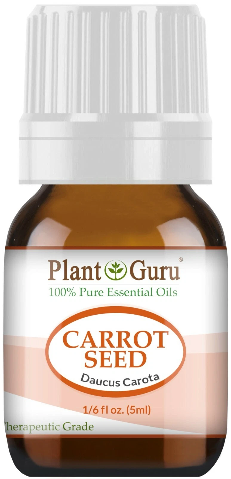 Carrot Seed