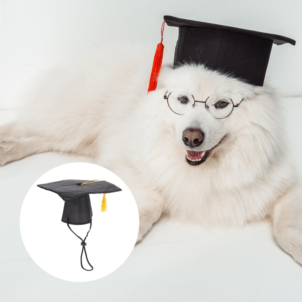 tiny graduation cap dog graduation cap and gown Pet Graduation