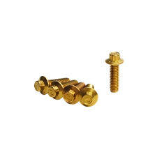 Gold Front Brake Rotor Bolts for Harley Dyna Street Fat Bob Wide Glide FXDB FXDF