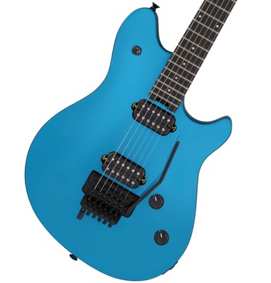 evh wolfgang standard case